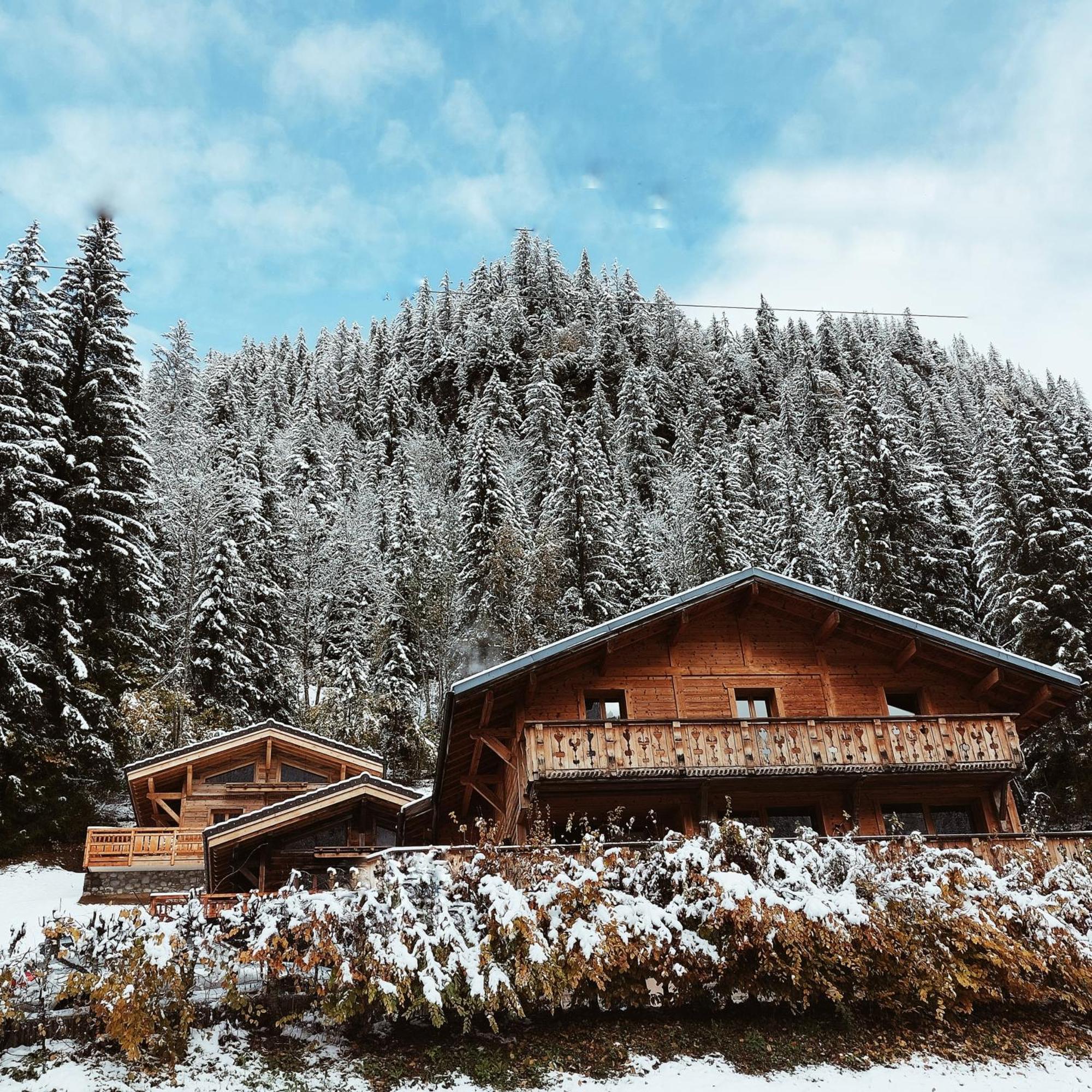 Savoya Lodges Châtel Exterior foto